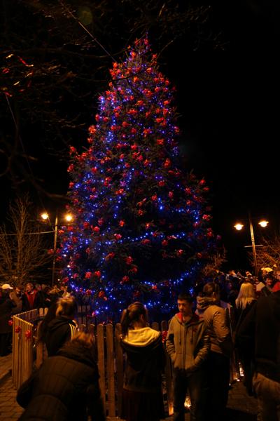 Lighting the Christmas Tree 2013 (Gallery 1)